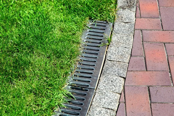 Linear drain beside a lawn and paved surface